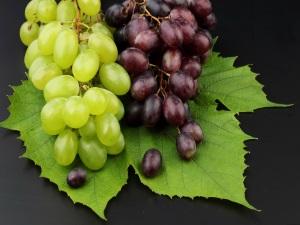 Miért fogyasszunk sok szőlőt?