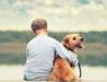 A kutyatartás pozitív élettani hatásai