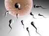 Csökkenő születésszám - romló spermiumok?